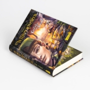 Buchcover und Innenansicht für das Buch: Whisperworld 4: Gefahr im Sumpf