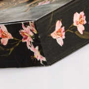 Buchcover und Innenansicht für das Buch: A Dance with the Fae Prince