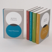Buchcover und Innenansicht für das Buch: Paare Passanten