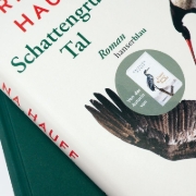 Buchcover und Innenansicht für das Buch: Schattengrünes Tal