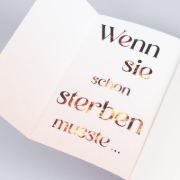 Buchcover und Innenansicht für das Buch: Fire Falling