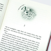 Buchcover und Innenansicht für das Buch: Magicalia 1: Race of Wonders
