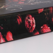 Buchcover und Innenansicht für das Buch: A Deal with the Elf King