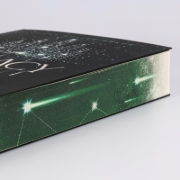 Buchcover und Innenansicht für das Buch: Legacy of Stars 1: Gezeichnetes Schicksal