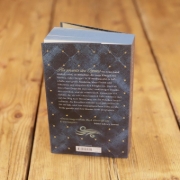 Buchcover und Innenansicht für das Buch: Winterkeep