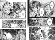 Buchcover und Innenansicht für das Buch: Chi wo Hau Boukoku no Oujo