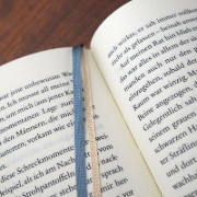 Buchcover und Innenansicht für das Buch: The Shadow-Line