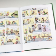Buchcover und Innenansicht für das Buch: Un gaffeur sachant gaffer