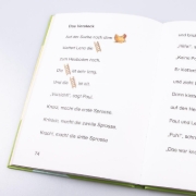 Buchcover und Innenansicht für das Buch: Das große Buch zum Lesenlernen