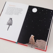 Buchcover und Innenansicht für das Buch: Kater Liam