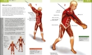 Buchcover und Innenansicht für das Buch: Das Anatomie-Buch der Fitness