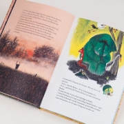 Buchcover und Innenansicht für das Buch: Is er dan niemand boos?