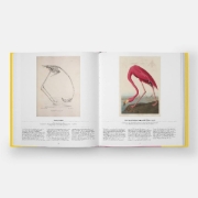 Buchcover und Innenansicht für das Buch: Bird