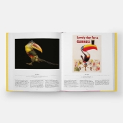 Buchcover und Innenansicht für das Buch: Bird