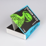Buchcover und Innenansicht für das Buch: Dragon Head