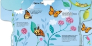 Buchcover und Innenansicht für das Buch: Von der kleinen Raupe zum Schmetterling