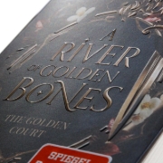 Buchcover und Innenansicht für das Buch: A River of Golden Bones