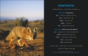 Buchcover und Innenansicht für das Buch: Foto Basics