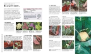 Buchcover und Innenansicht für das Buch: Kleiner Garten - große Ernte
