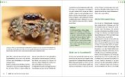Buchcover und Innenansicht für das Buch: Extreme Wildlife-Makrofotografie