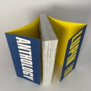 Buchcover und Innenansicht für das Buch: Lupin Sansei
