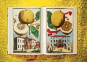 Buchcover und Innenansicht für das Buch: J. C. Volkamer. The Book of Citrus Fruits