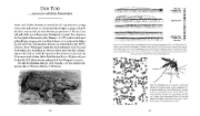 Buchcover und Innenansicht für das Buch: Sciencia
