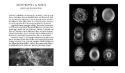 Buchcover und Innenansicht für das Buch: Sciencia