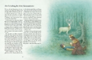Buchcover und Innenansicht für das Buch: Sagenschatz aus Österreich