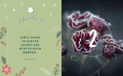 Buchcover und Innenansicht für das Buch: Mein Adventskalender-Buch: Gartenliebe
