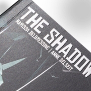 Buchcover und Innenansicht für das Buch: The Shadow Prophet