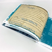 Buchcover und Innenansicht für das Buch: Flucht aus dem Eis