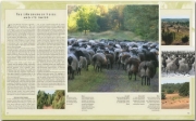Buchcover und Innenansicht für das Buch: Reise durch Niedersachsen