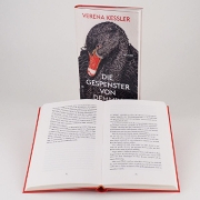 Buchcover und Innenansicht für das Buch: Die Gespenster von Demmin