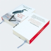 Buchcover und Innenansicht für das Buch: Unter Wasser Nacht