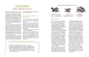 Buchcover und Innenansicht für das Buch: School of Taste veggie