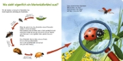Buchcover und Innenansicht für das Buch: Pass gut auf den kleinen Marienkäfer auf
