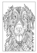 Buchcover und Innenansicht für das Buch: Mandala Malbuch Hunde für Kinder ab 8 Jahren mit 50 schönen Ausmalbildern