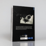 Buchcover und Innenansicht für das Buch: Hyanghyeonmunja