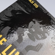 Buchcover und Innenansicht für das Buch: Genkai Chitai