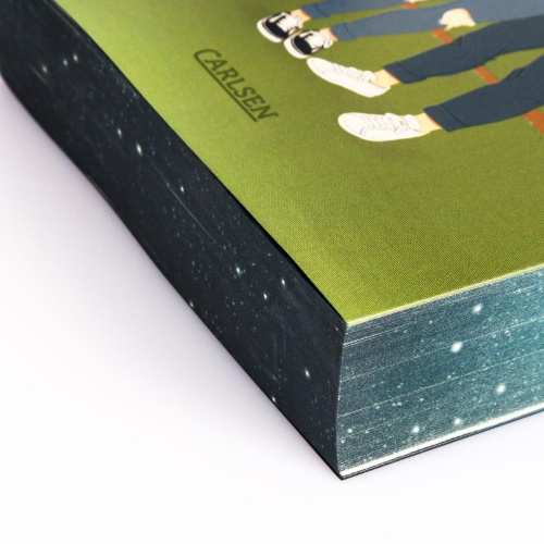 Buchcover und Innenansicht für das Buch: Stealing Home