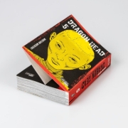 Buchcover und Innenansicht für das Buch: Dragon Head