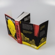 Buchcover und Innenansicht für das Buch: Dragon Head