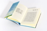 Buchcover und Innenansicht für das Buch: Trotzdem zuhause