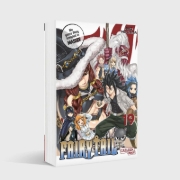 Buchcover und Innenansicht für das Buch: Fairy Tail