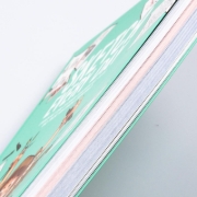 Buchcover und Innenansicht für das Buch: Sketch every day
