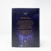 Buchcover und Innenansicht für das Buch: Catwoman: Soulstealer