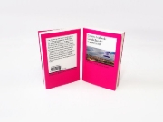 Buchcover und Innenansicht für das Buch: Geschichte des Staates Israel