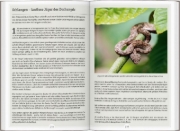 Buchcover und Innenansicht für das Buch: DUMONT Reise-Handbuch Reiseführer Costa Rica