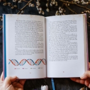 Buchcover und Innenansicht für das Buch: Die Wende beginnt in Dir - Ahnenarbeit, Epigenetik u. spirituelle Transformation